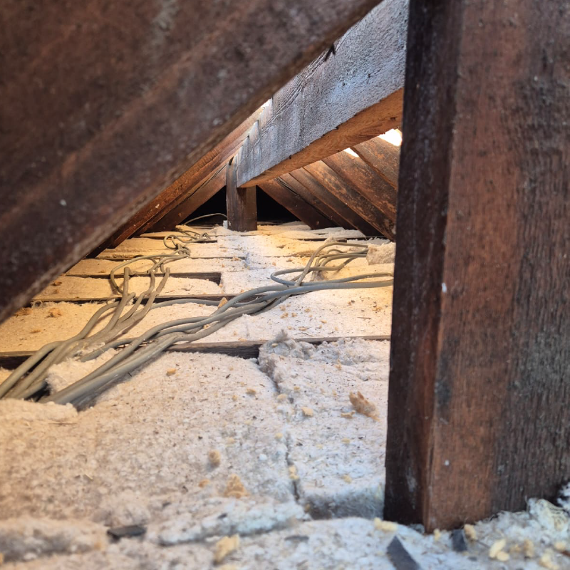 ITE ANGERS BRISSAC PAIN 1