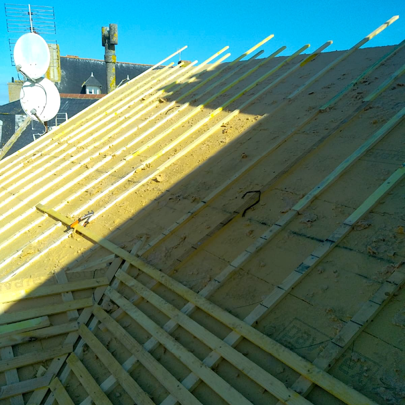 ITE ANGERS BRISSAC PAIN 2